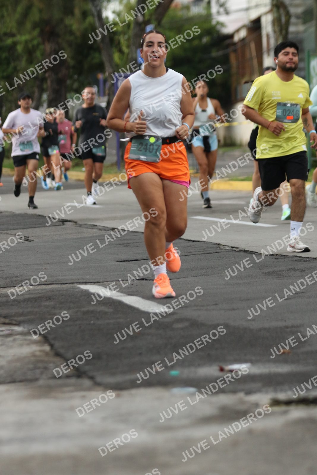 Foto de ADIDAS SPLITS GUADALAJARA 15K / 30K en Av. San Ignacio esquina Av. Ignacio L. Vallarta, Zapopan a las 06:58 · dorsal 2407, 246