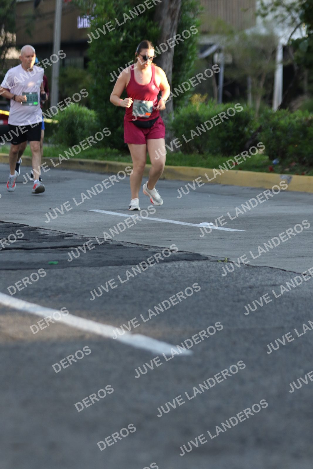 Foto de ADIDAS SPLITS GUADALAJARA 15K / 30K en Av. San Ignacio esquina Av. Ignacio L. Vallarta, Zapopan a las 07:47 · dorsal 2519