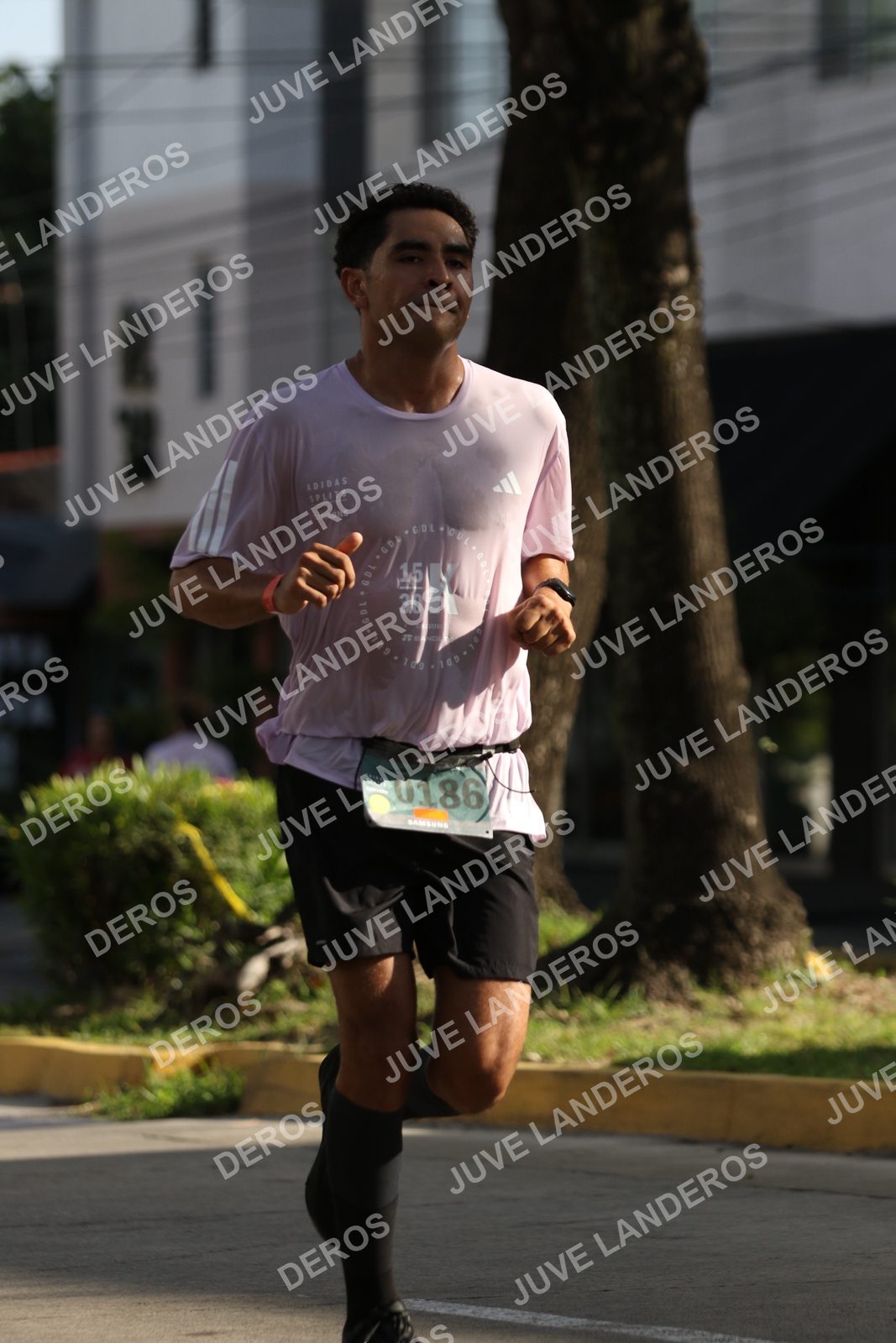 Foto de ADIDAS SPLITS GUADALAJARA 15K / 30K en Av. San Ignacio esquina Av. Ignacio L. Vallarta, Zapopan a las 08:50 · dorsal 186, 15, 30