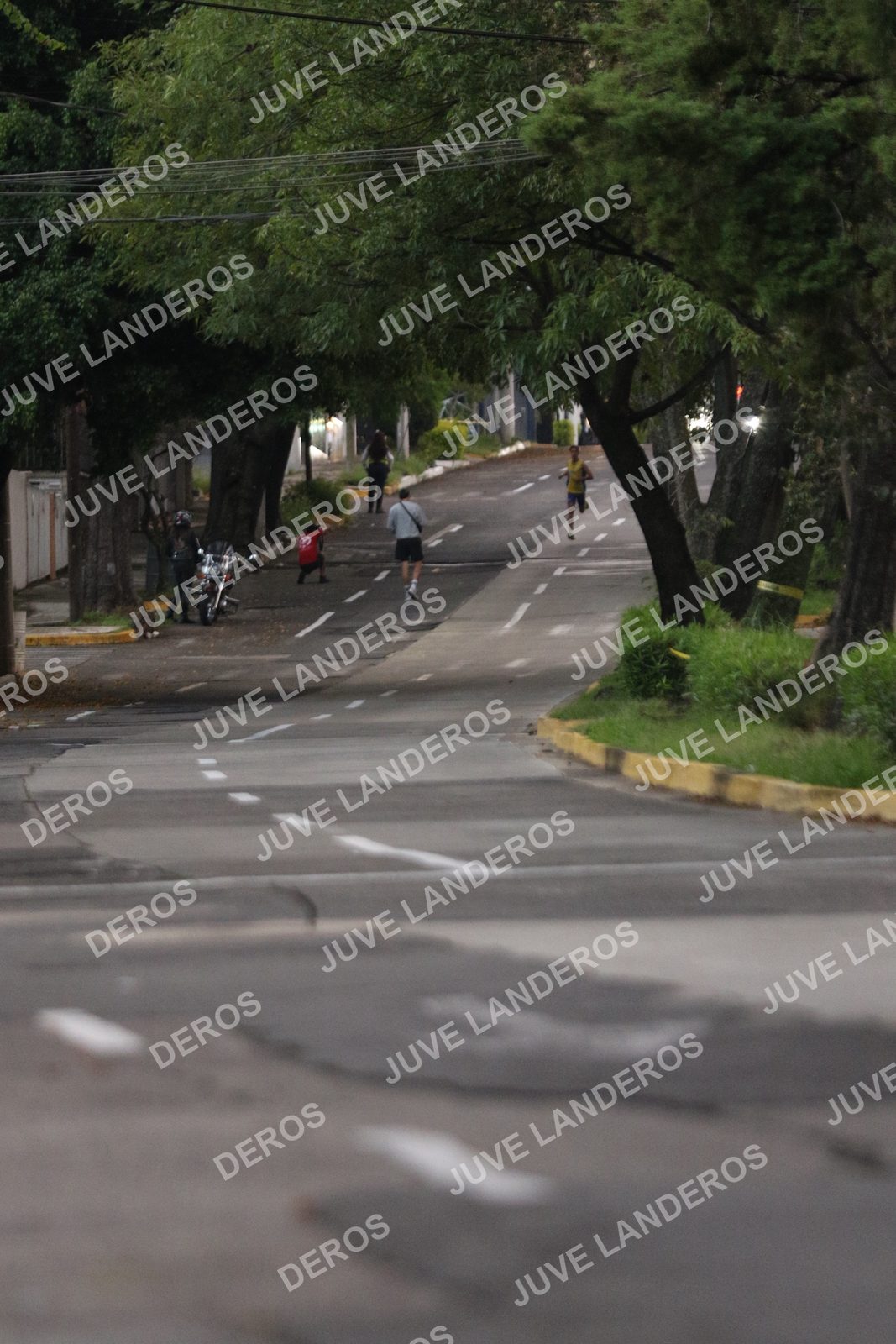 Foto de ADIDAS SPLITS GUADALAJARA 15K / 30K en Av. San Ignacio esquina Av. Ignacio L. Vallarta, Zapopan a las 06:45