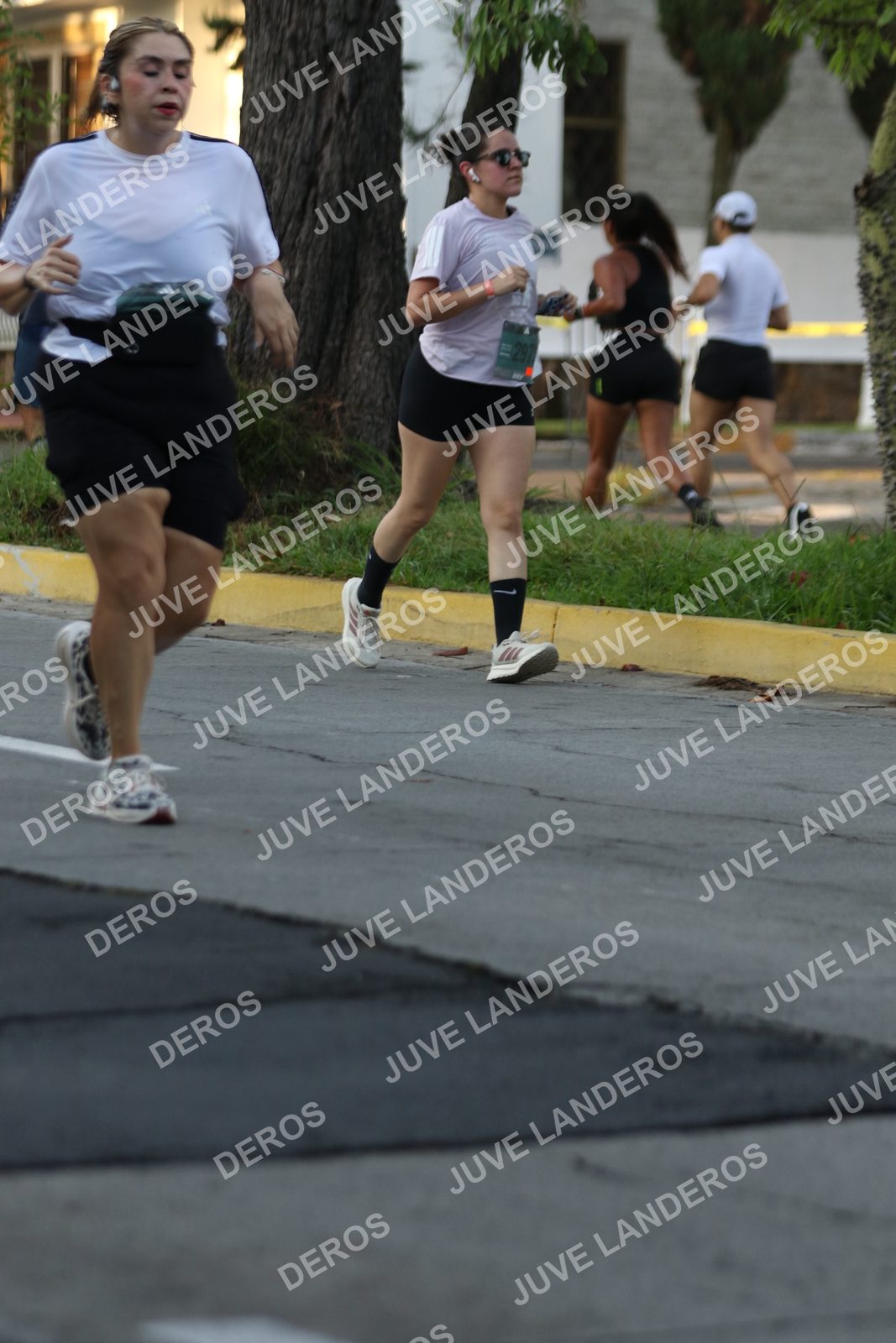 Foto de ADIDAS SPLITS GUADALAJARA 15K / 30K en Av. San Ignacio esquina Av. Ignacio L. Vallarta, Zapopan a las 07:15 · dorsal 297