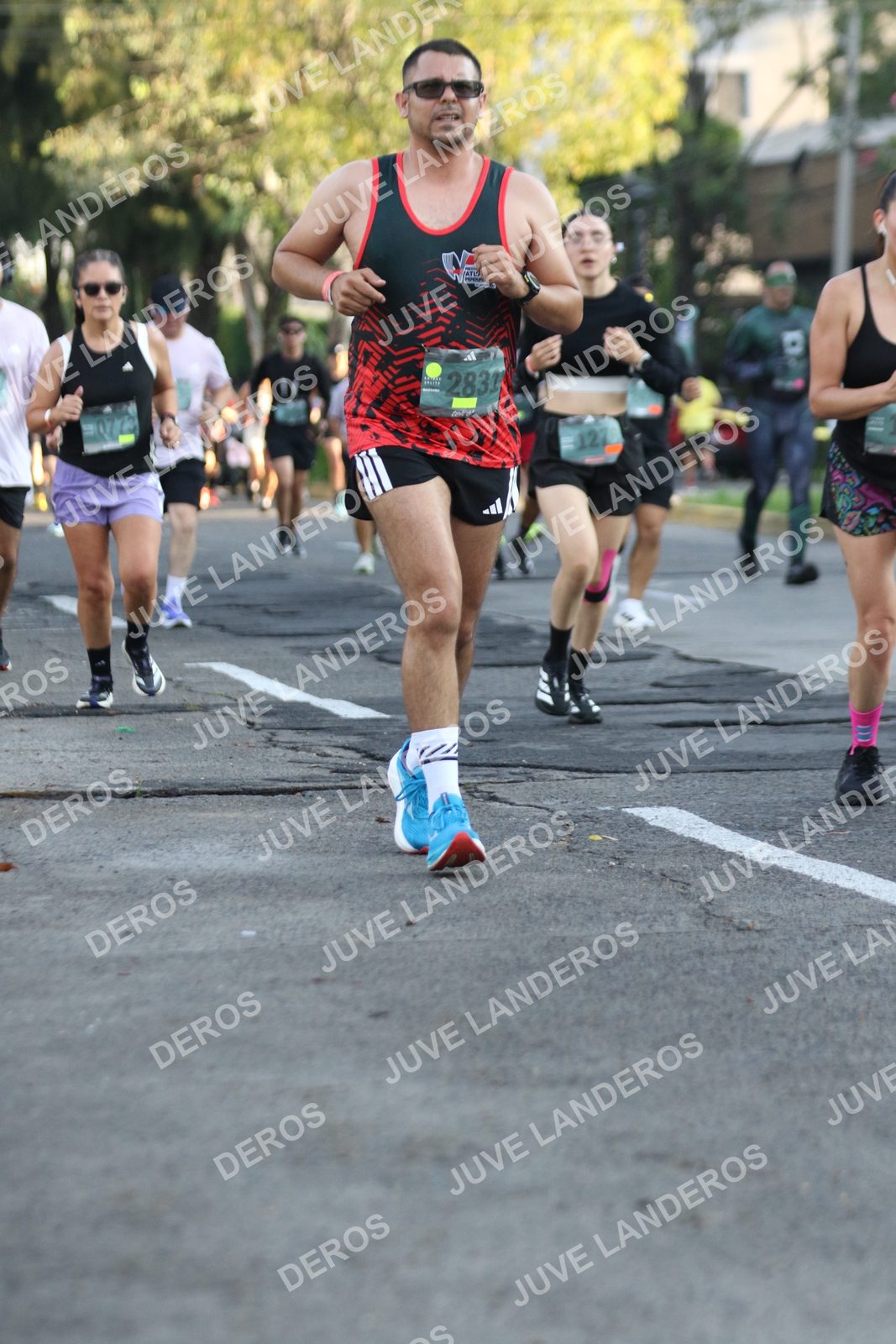 Foto de ADIDAS SPLITS GUADALAJARA 15K / 30K en Av. San Ignacio esquina Av. Ignacio L. Vallarta, Zapopan a las 07:35 · dorsal 12, 2831