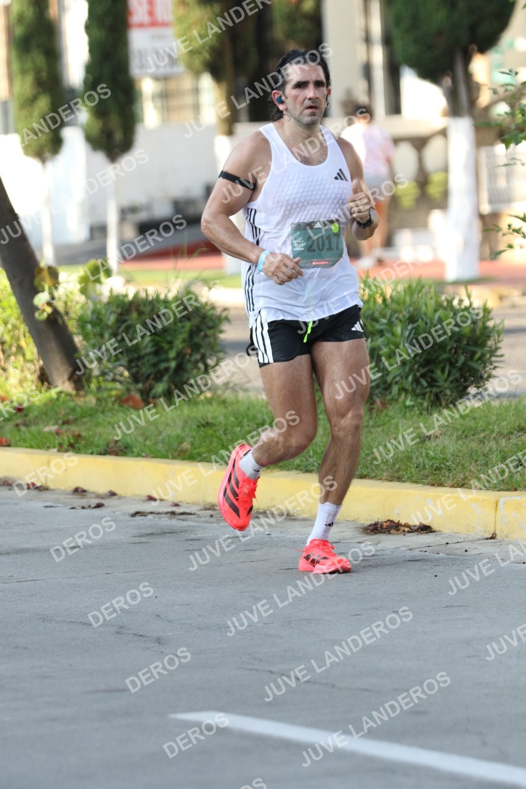 Foto de ADIDAS SPLITS GUADALAJARA 15K / 30K en Av. San Ignacio esquina Av. Ignacio L. Vallarta, Zapopan a las 08:11 · dorsal 2017