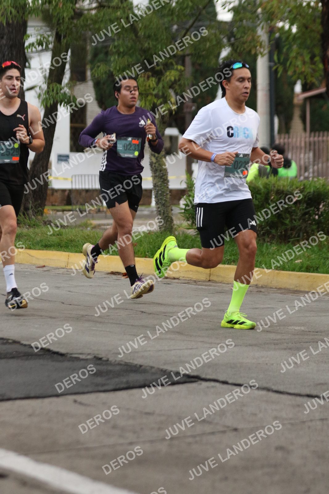 Foto de ADIDAS SPLITS GUADALAJARA 15K / 30K en Av. San Ignacio esquina Av. Ignacio L. Vallarta, Zapopan a las 06:49 · dorsal 2529, 229, 231