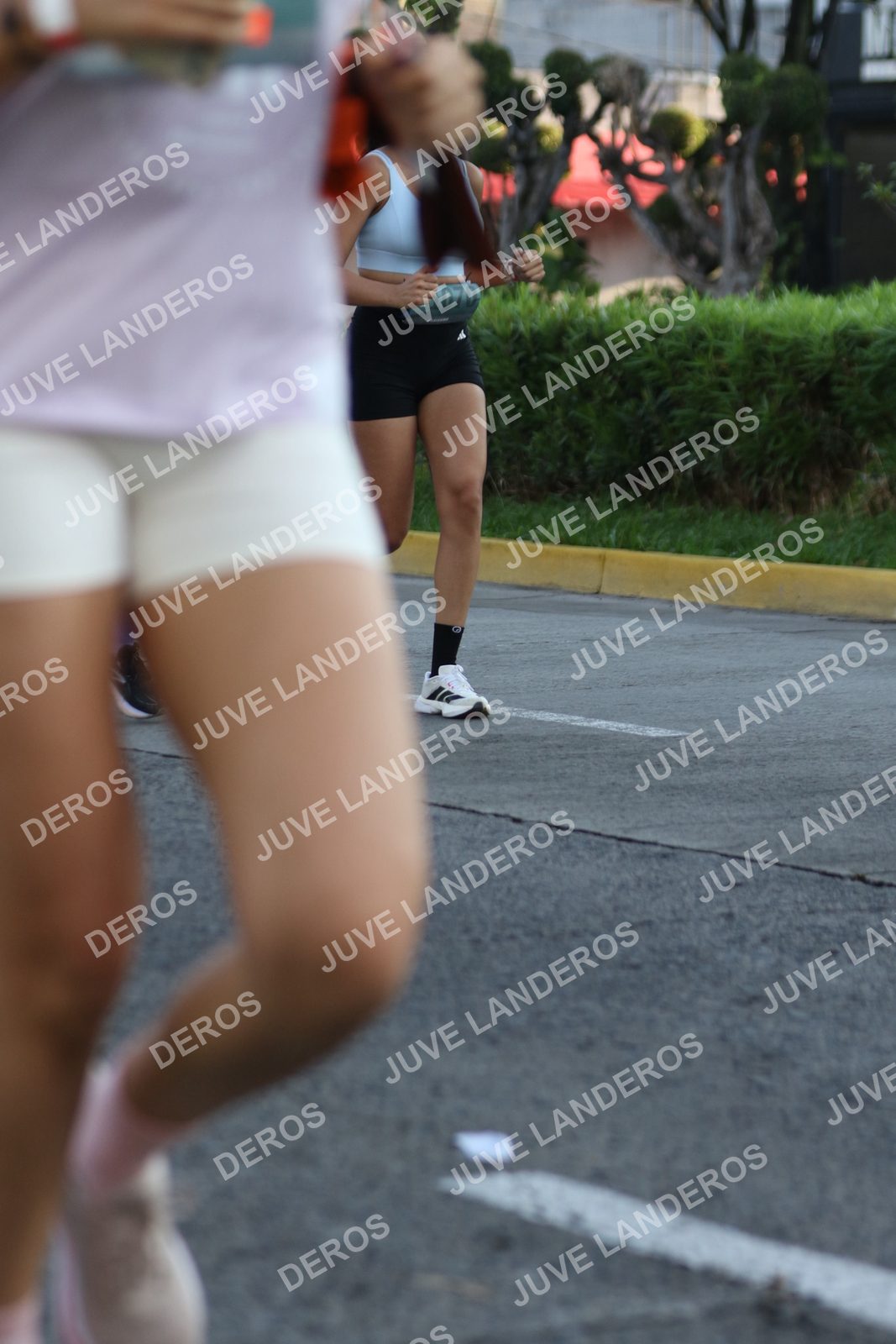 Foto de ADIDAS SPLITS GUADALAJARA 15K / 30K en Av. San Ignacio esquina Av. Ignacio L. Vallarta, Zapopan a las 07:40