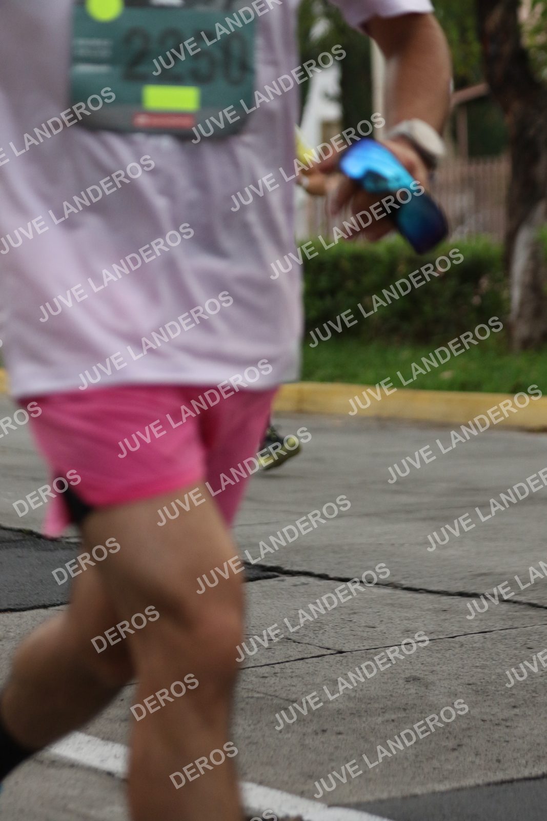 Foto de ADIDAS SPLITS GUADALAJARA 15K / 30K en Av. San Ignacio esquina Av. Ignacio L. Vallarta, Zapopan a las 06:54 · dorsal 2250