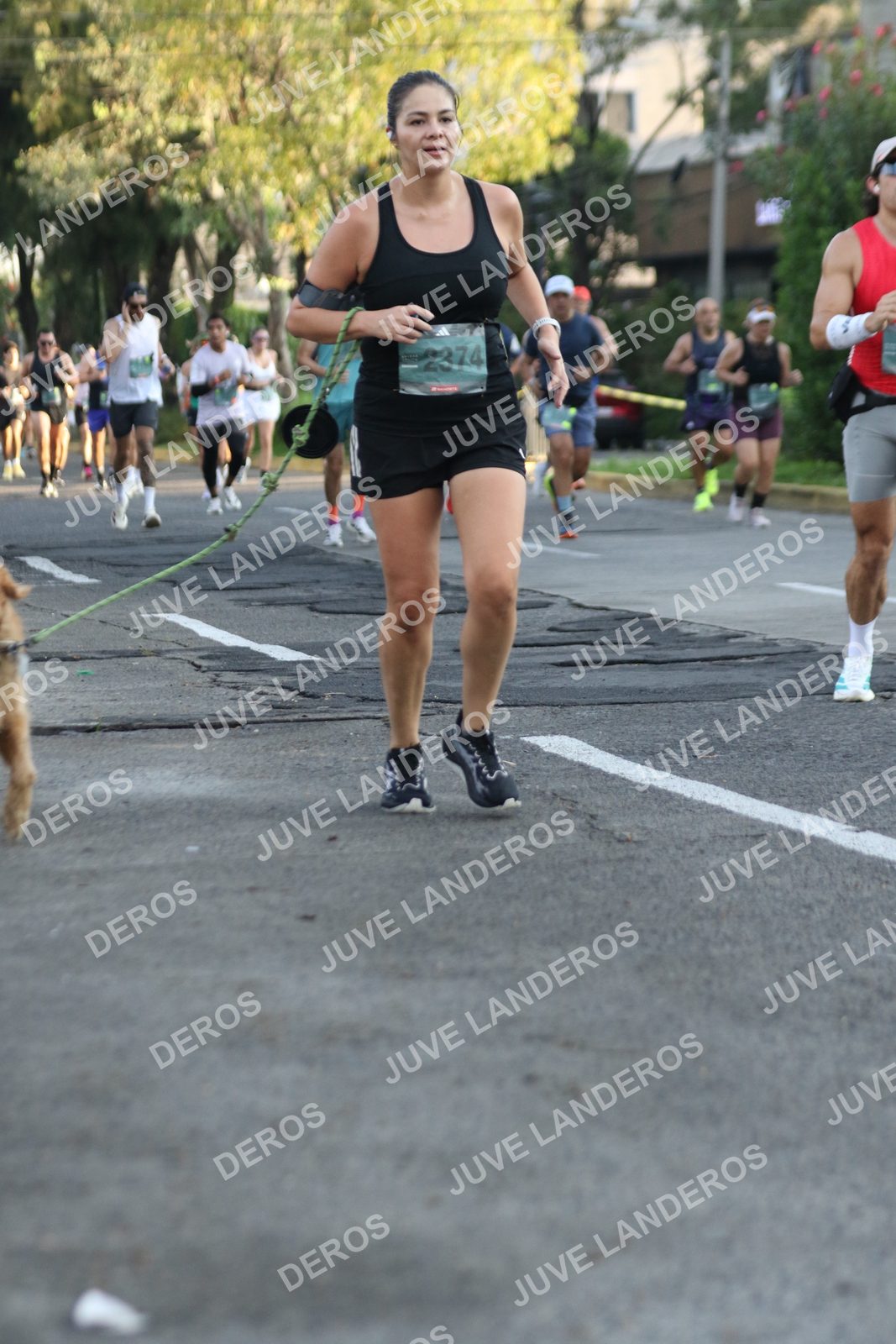 Foto de ADIDAS SPLITS GUADALAJARA 15K / 30K en Av. San Ignacio esquina Av. Ignacio L. Vallarta, Zapopan a las 07:31 · dorsal 2374