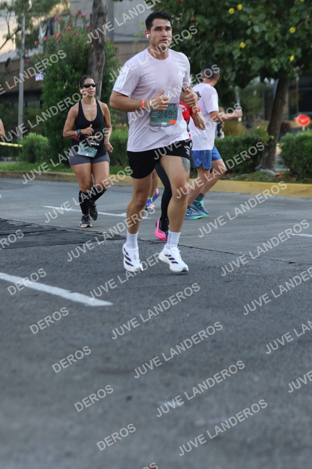 Foto de ADIDAS SPLITS GUADALAJARA 15K / 30K en Av. San Ignacio esquina Av. Ignacio L. Vallarta, Zapopan a las 07:38 · dorsal 2499