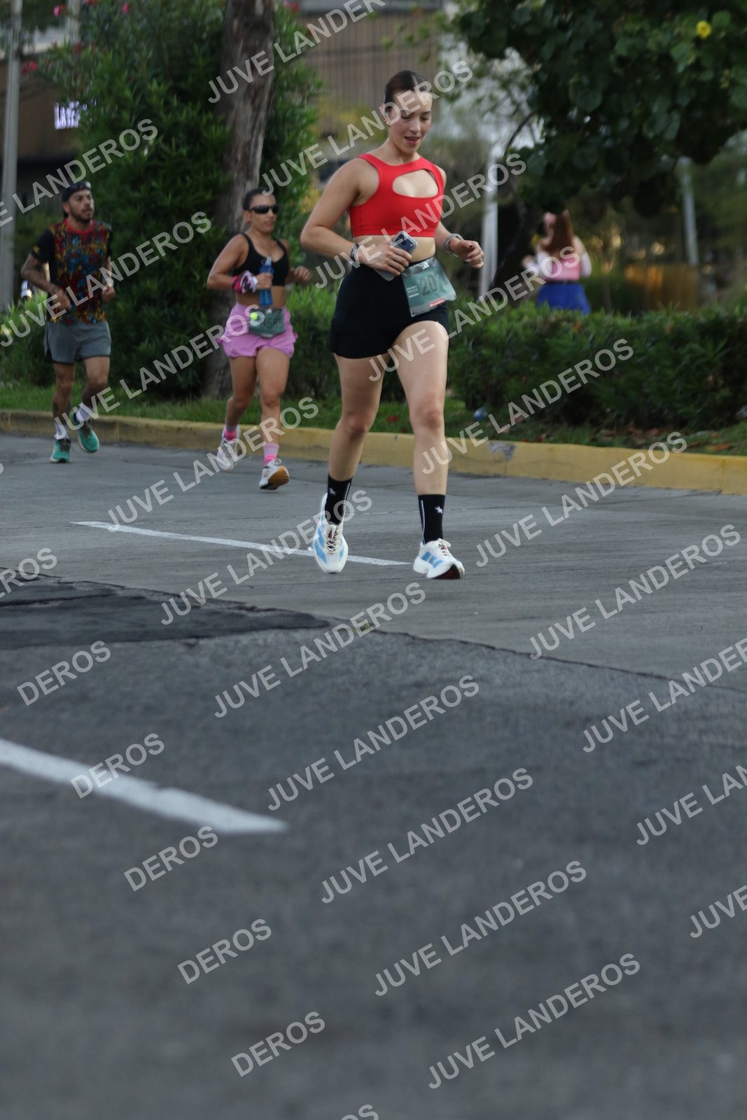 Foto de ADIDAS SPLITS GUADALAJARA 15K / 30K en Av. San Ignacio esquina Av. Ignacio L. Vallarta, Zapopan a las 07:29 · dorsal 207