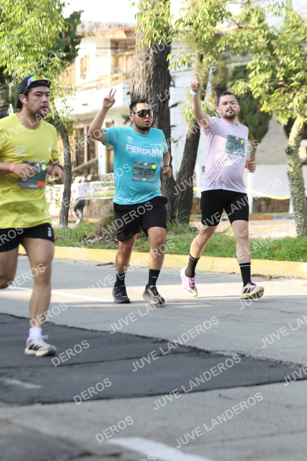 Foto de ADIDAS SPLITS GUADALAJARA 15K / 30K en Av. San Ignacio esquina Av. Ignacio L. Vallarta, Zapopan a las 08:27 · dorsal 2663, 2648