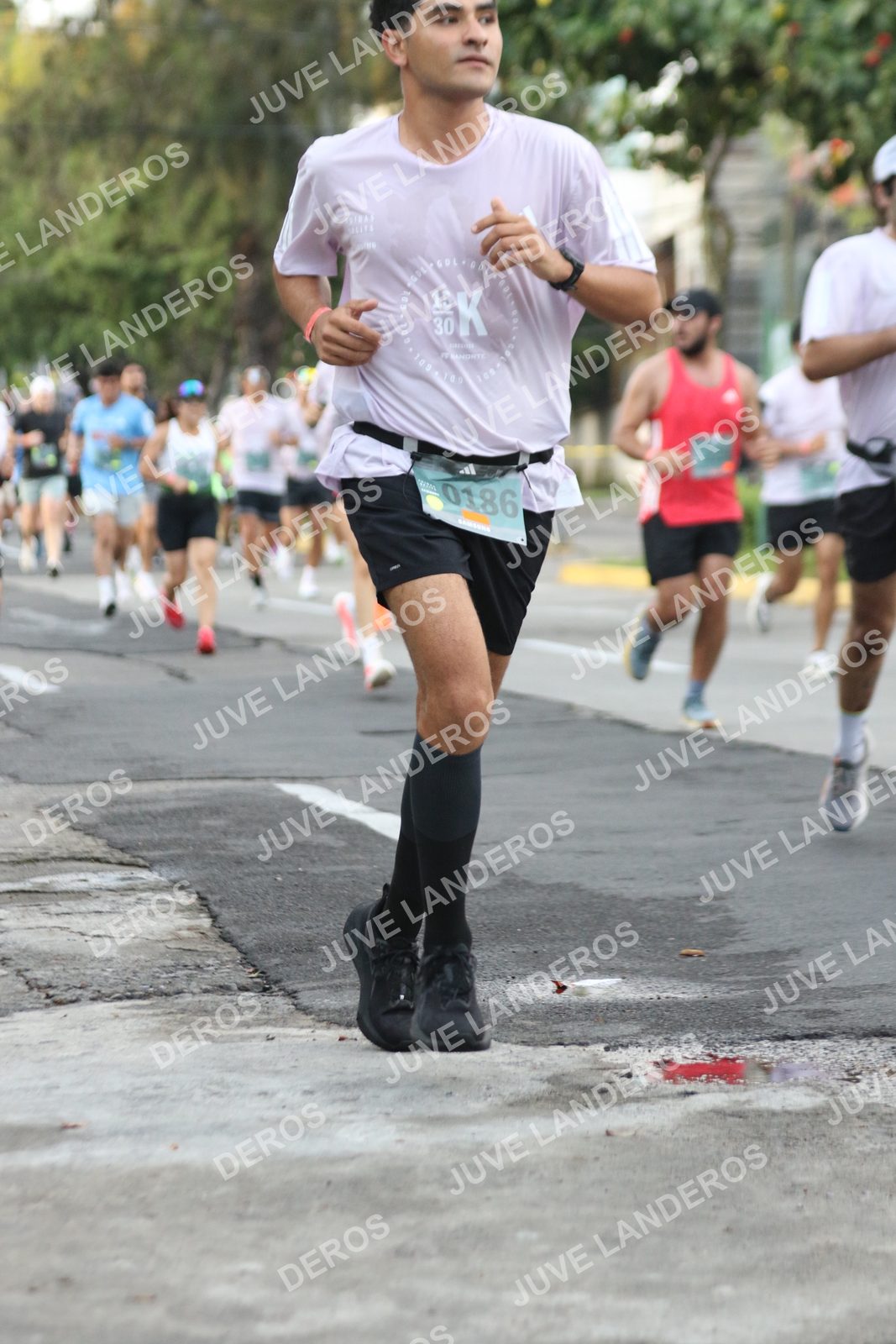 Foto de ADIDAS SPLITS GUADALAJARA 15K / 30K en Av. San Ignacio esquina Av. Ignacio L. Vallarta, Zapopan a las 07:04 · dorsal 186, 30