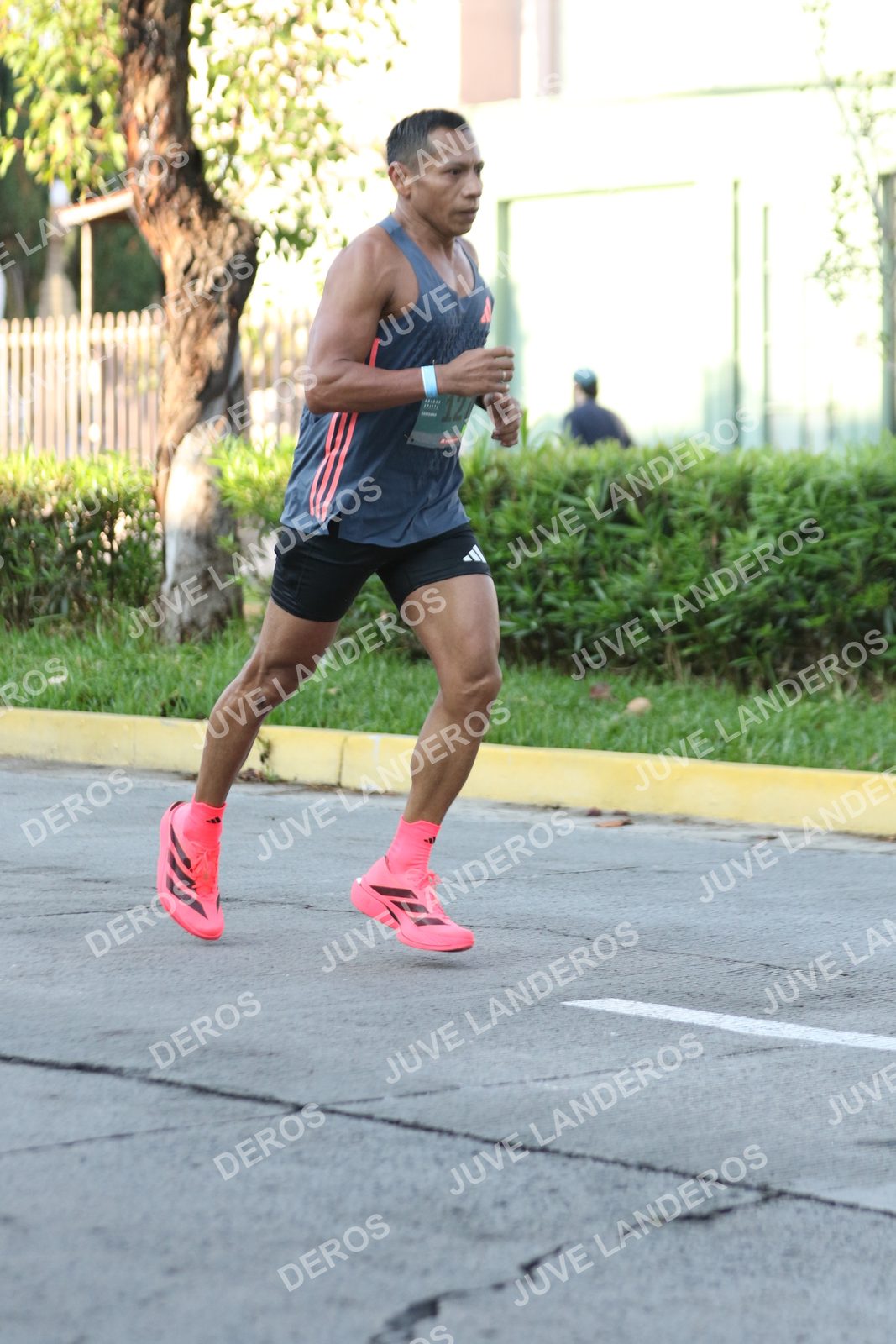 Foto de ADIDAS SPLITS GUADALAJARA 15K / 30K en Av. San Ignacio esquina Av. Ignacio L. Vallarta, Zapopan a las 07:57