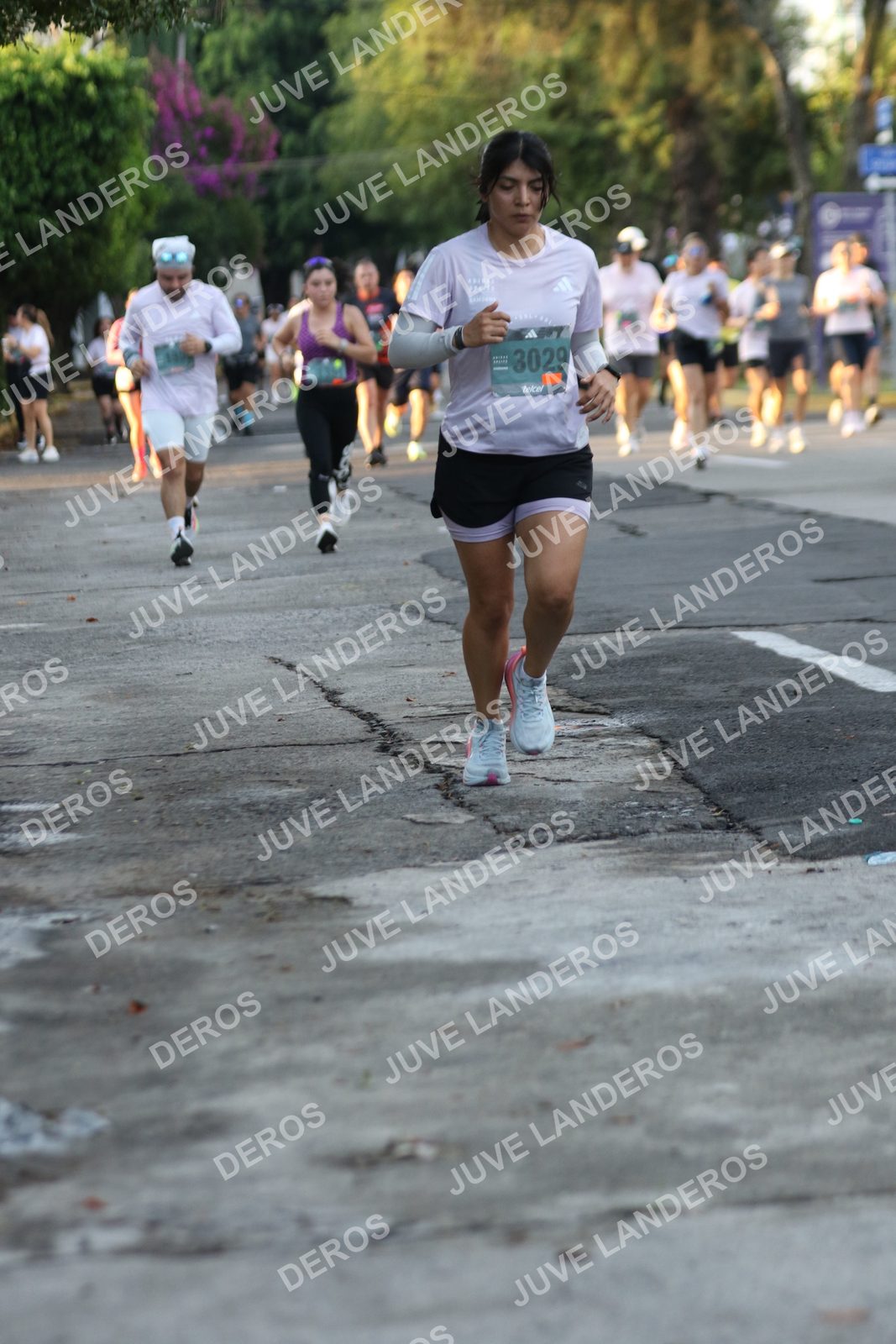 Foto de ADIDAS SPLITS GUADALAJARA 15K / 30K en Av. San Ignacio esquina Av. Ignacio L. Vallarta, Zapopan a las 07:13 · dorsal 3029