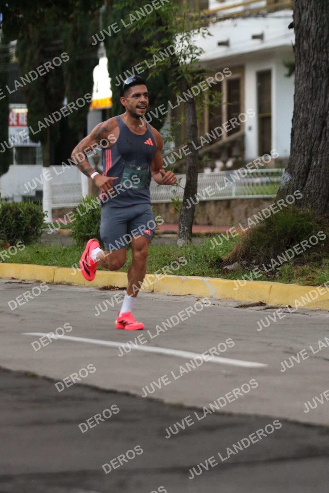 Foto de ADIDAS SPLITS GUADALAJARA 15K / 30K en Av. San Ignacio esquina Av. Ignacio L. Vallarta, Zapopan a las 06:47 · dorsal 443