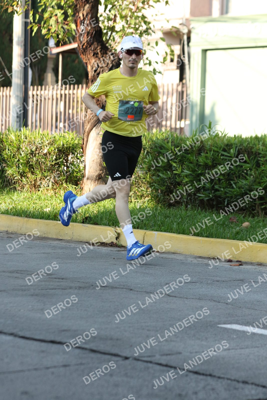 Foto de ADIDAS SPLITS GUADALAJARA 15K / 30K en Av. San Ignacio esquina Av. Ignacio L. Vallarta, Zapopan a las 08:07 · dorsal 2277