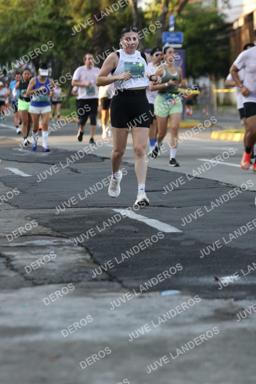 Foto de ADIDAS SPLITS GUADALAJARA 15K / 30K en Av. San Ignacio esquina Av. Ignacio L. Vallarta, Zapopan a las 07:14 · dorsal 2937