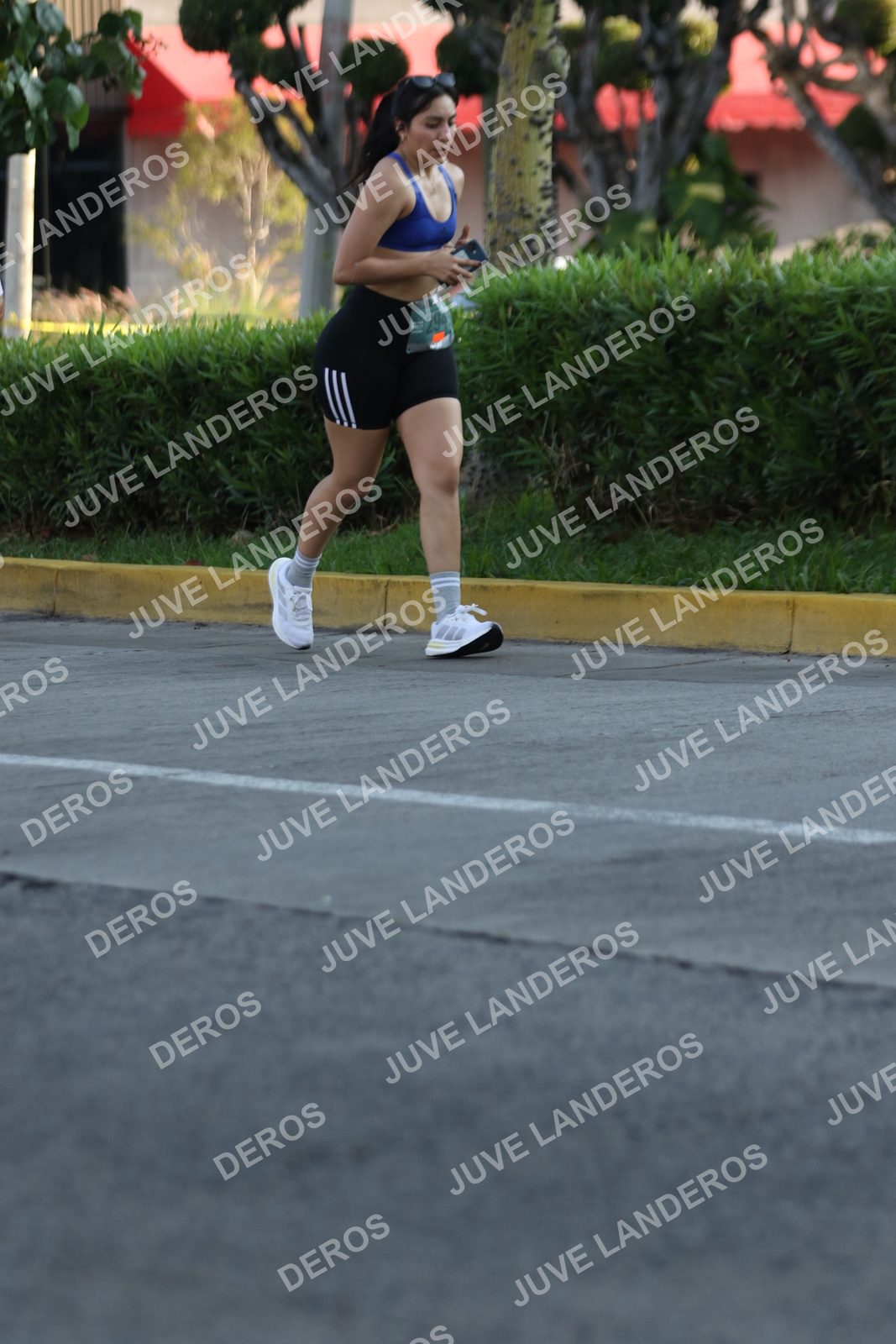 Foto de ADIDAS SPLITS GUADALAJARA 15K / 30K en Av. San Ignacio esquina Av. Ignacio L. Vallarta, Zapopan a las 07:43