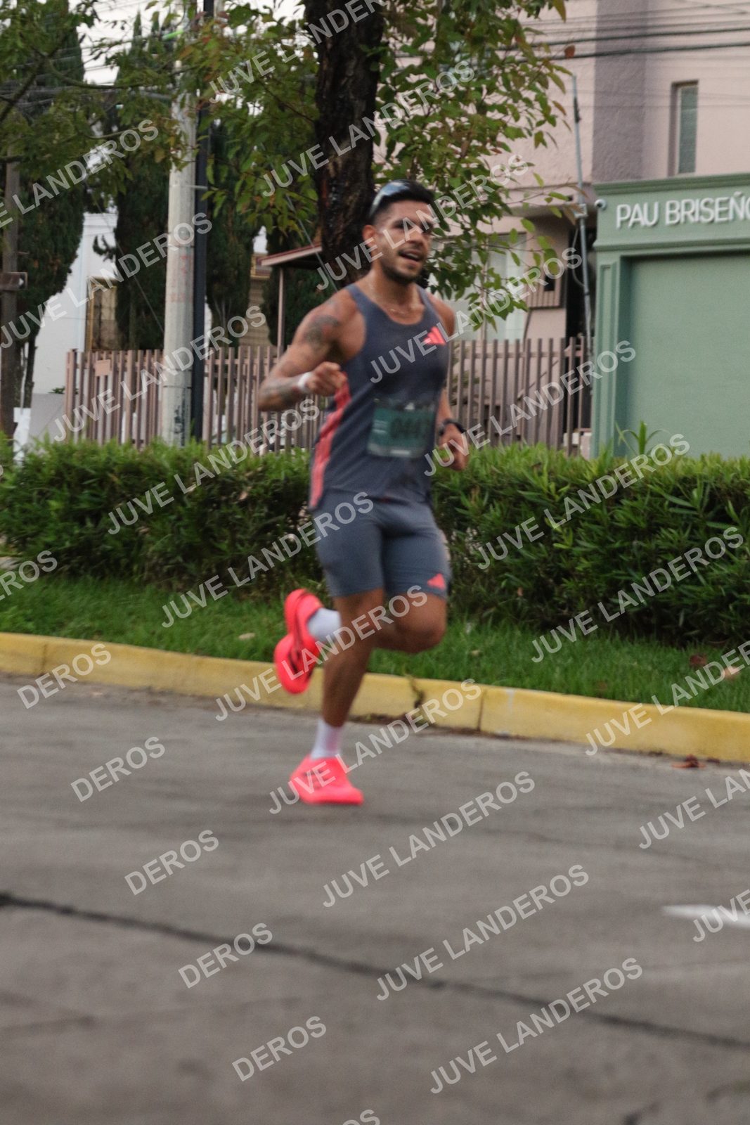 Foto de ADIDAS SPLITS GUADALAJARA 15K / 30K en Av. San Ignacio esquina Av. Ignacio L. Vallarta, Zapopan a las 06:47