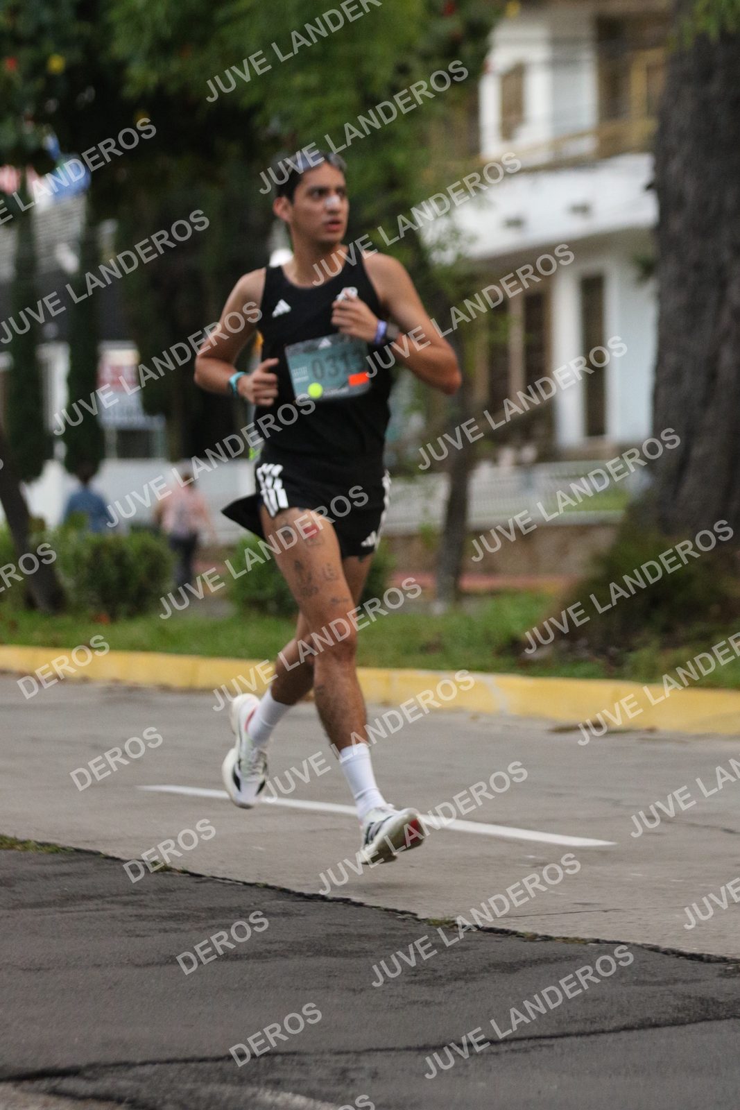 Foto de ADIDAS SPLITS GUADALAJARA 15K / 30K en Av. San Ignacio esquina Av. Ignacio L. Vallarta, Zapopan a las 06:47 · dorsal 313