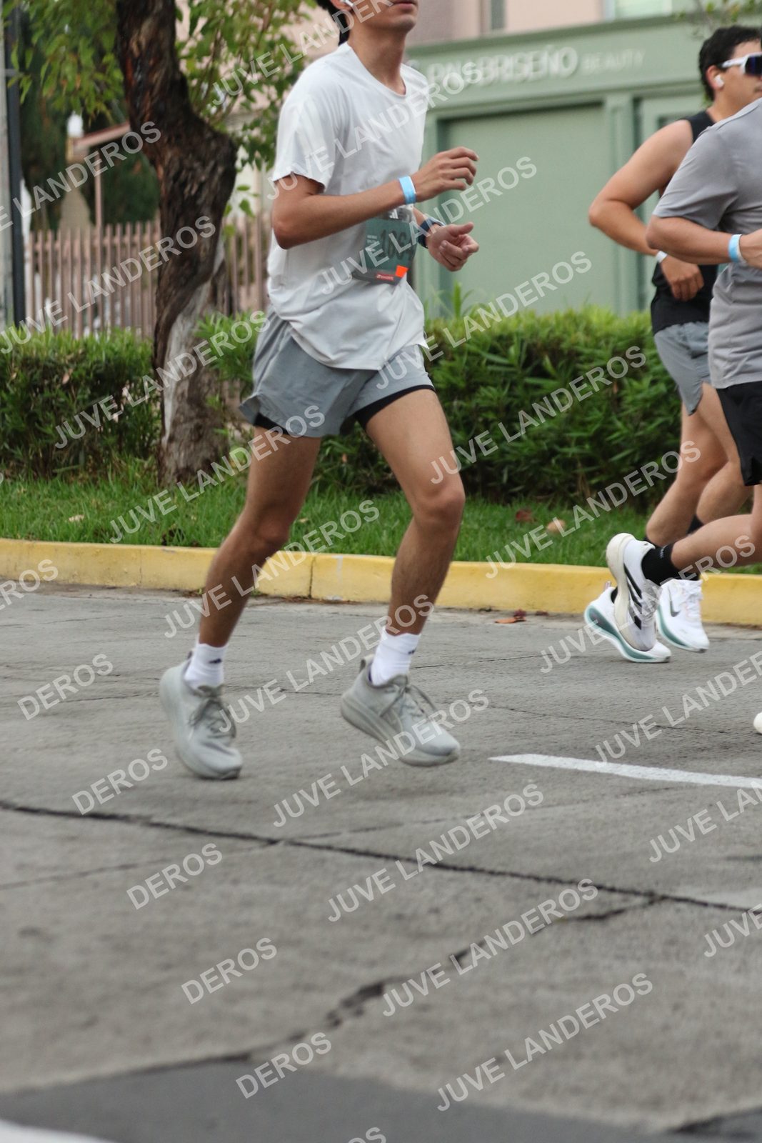 Foto de ADIDAS SPLITS GUADALAJARA 15K / 30K en Av. San Ignacio esquina Av. Ignacio L. Vallarta, Zapopan a las 06:56 · dorsal 1664