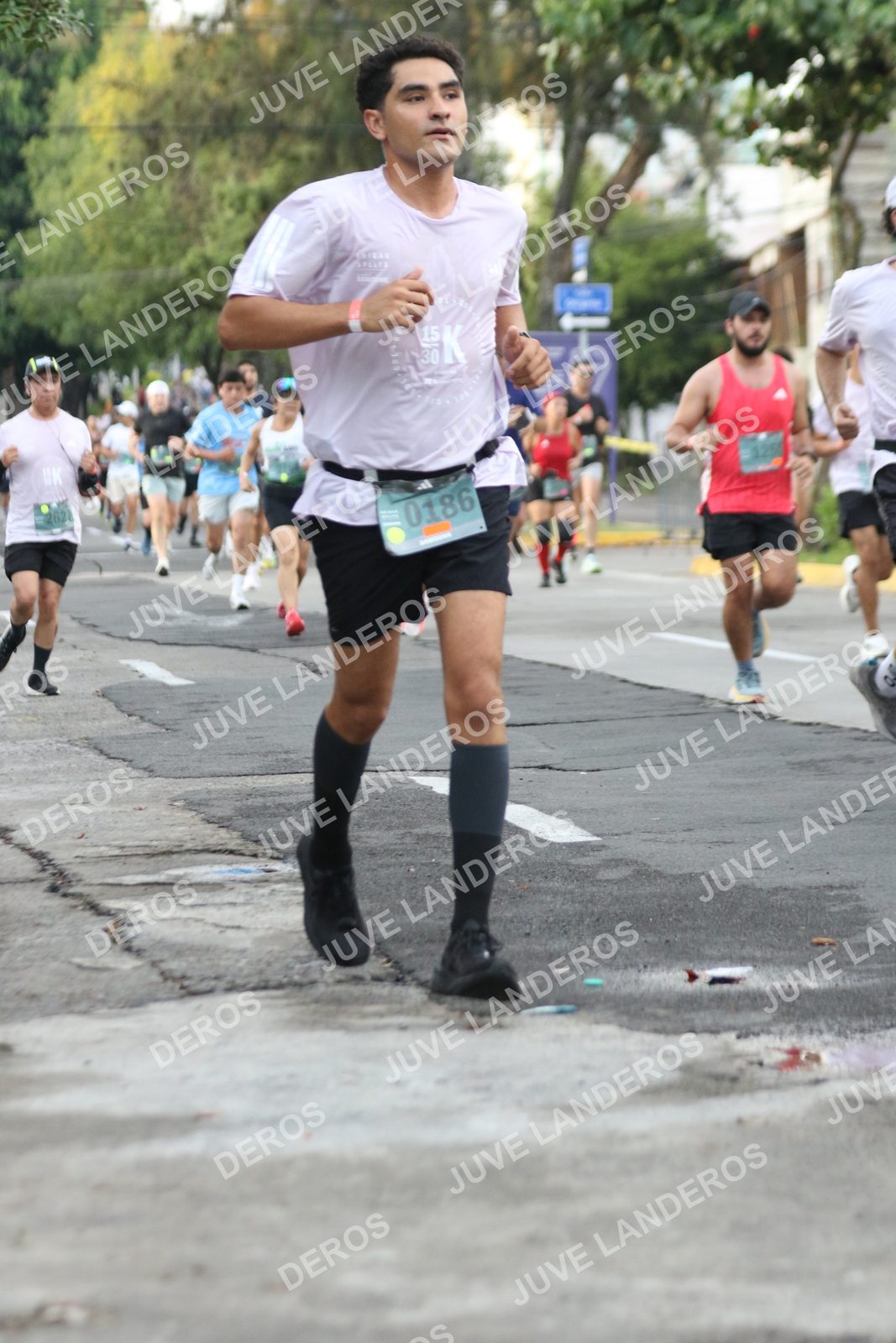 Foto de ADIDAS SPLITS GUADALAJARA 15K / 30K en Av. San Ignacio esquina Av. Ignacio L. Vallarta, Zapopan a las 07:04 · dorsal 186, 262, 15