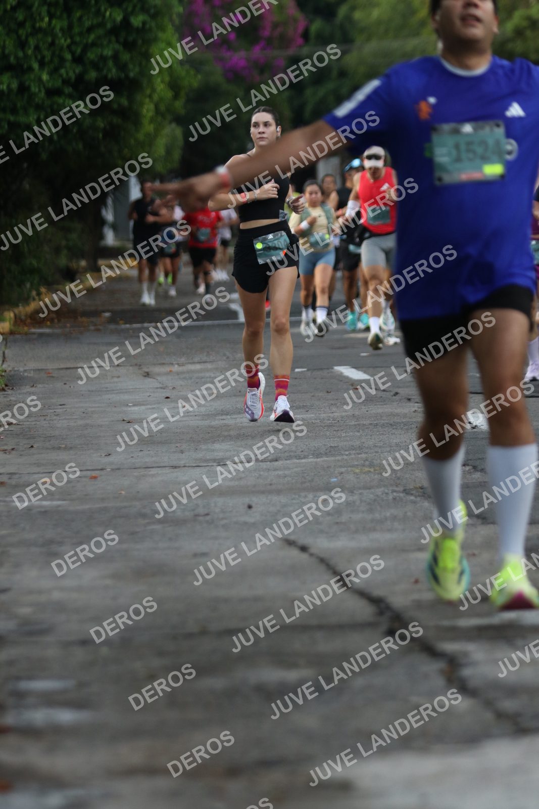 Foto de ADIDAS SPLITS GUADALAJARA 15K / 30K en Av. San Ignacio esquina Av. Ignacio L. Vallarta, Zapopan a las 07:06 · dorsal 1524