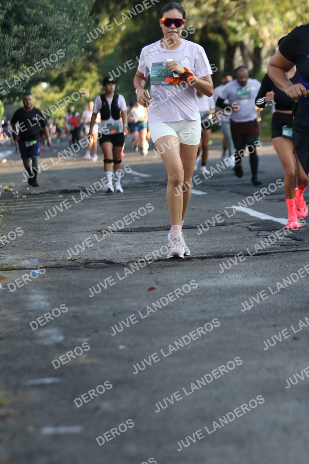 Foto de ADIDAS SPLITS GUADALAJARA 15K / 30K en Av. San Ignacio esquina Av. Ignacio L. Vallarta, Zapopan a las 07:39 · dorsal 29