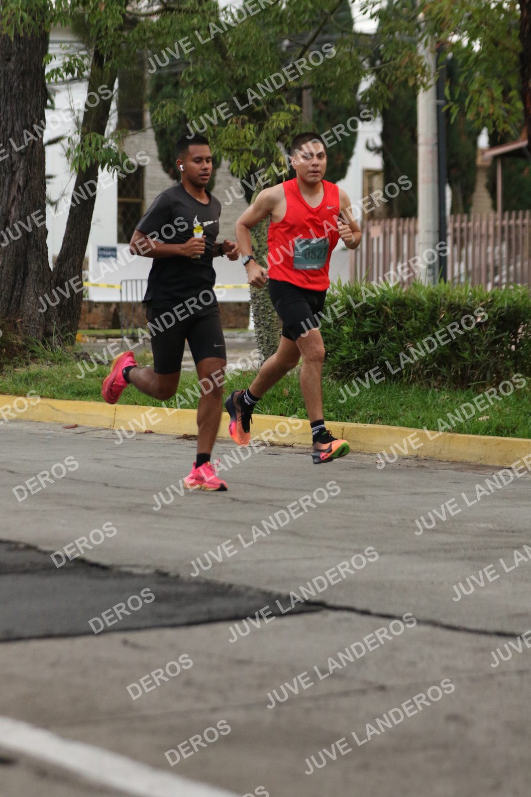 Foto de ADIDAS SPLITS GUADALAJARA 15K / 30K en Av. San Ignacio esquina Av. Ignacio L. Vallarta, Zapopan a las 06:50 · dorsal 827