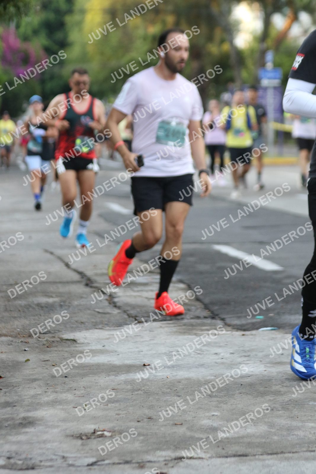 Foto de ADIDAS SPLITS GUADALAJARA 15K / 30K en Av. San Ignacio esquina Av. Ignacio L. Vallarta, Zapopan a las 07:07 · dorsal 240