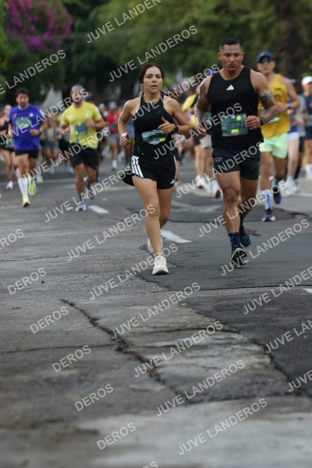 Foto de ADIDAS SPLITS GUADALAJARA 15K / 30K en Av. San Ignacio esquina Av. Ignacio L. Vallarta, Zapopan a las 07:06
