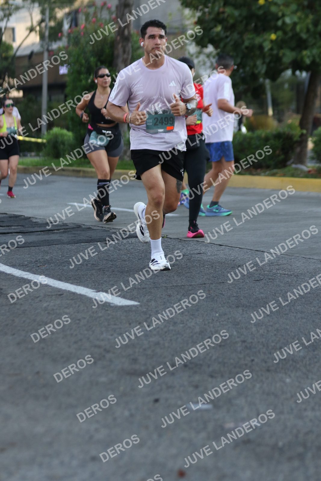 Foto de ADIDAS SPLITS GUADALAJARA 15K / 30K en Av. San Ignacio esquina Av. Ignacio L. Vallarta, Zapopan a las 07:38 · dorsal 2499