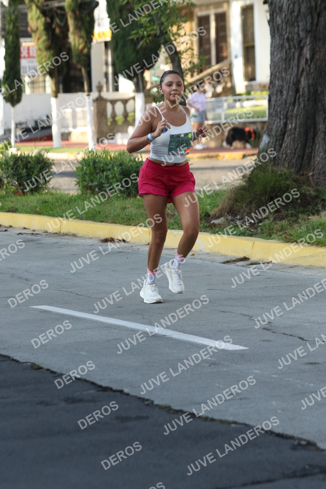 Foto de ADIDAS SPLITS GUADALAJARA 15K / 30K en Av. San Ignacio esquina Av. Ignacio L. Vallarta, Zapopan a las 08:10 · dorsal 268