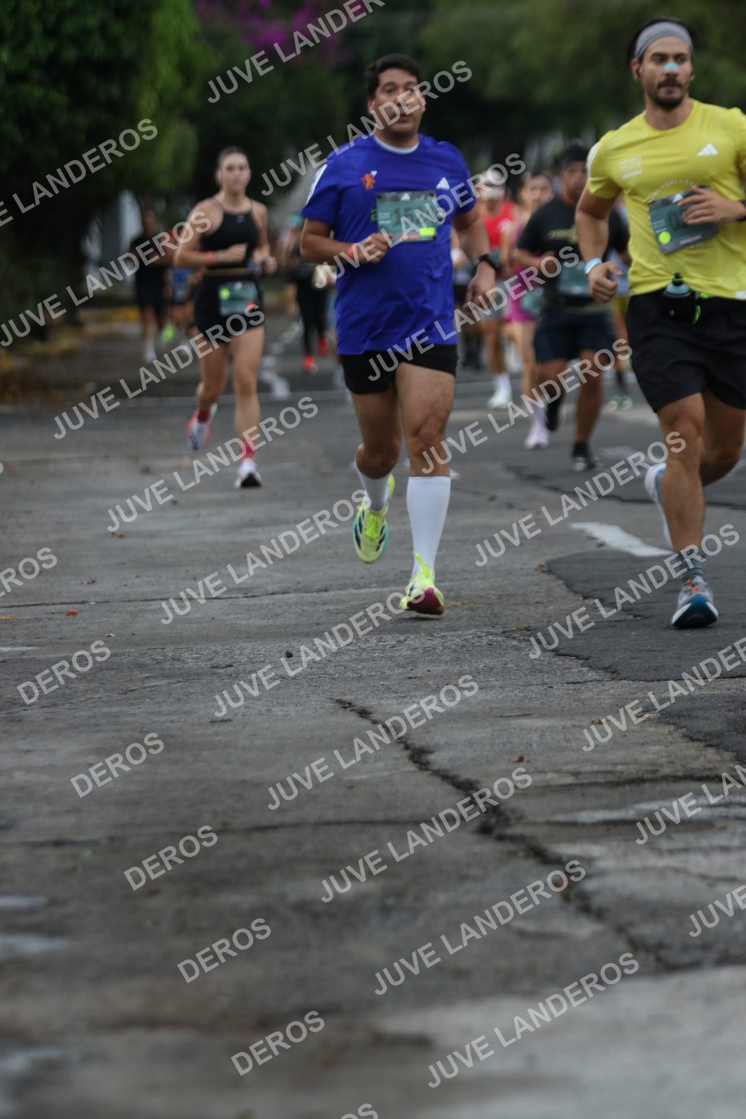 Foto de ADIDAS SPLITS GUADALAJARA 15K / 30K en Av. San Ignacio esquina Av. Ignacio L. Vallarta, Zapopan a las 07:06 · dorsal 15240