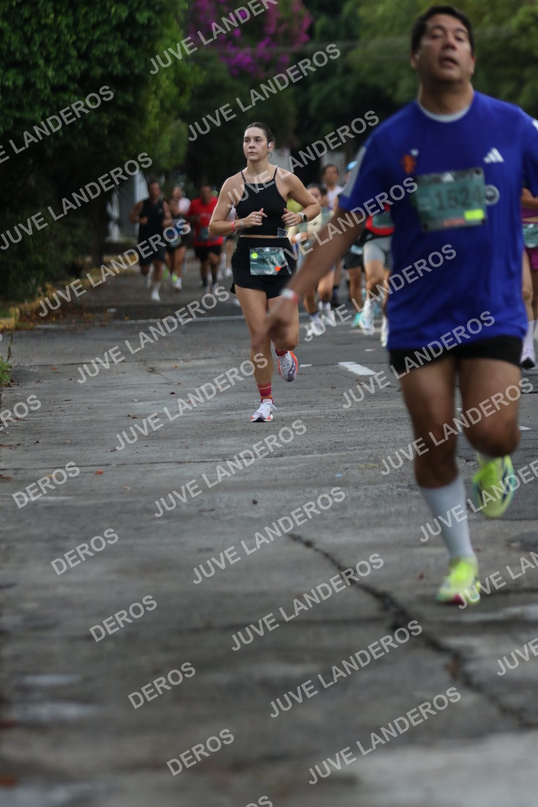 Foto de ADIDAS SPLITS GUADALAJARA 15K / 30K en Av. San Ignacio esquina Av. Ignacio L. Vallarta, Zapopan a las 07:06 · dorsal 1524