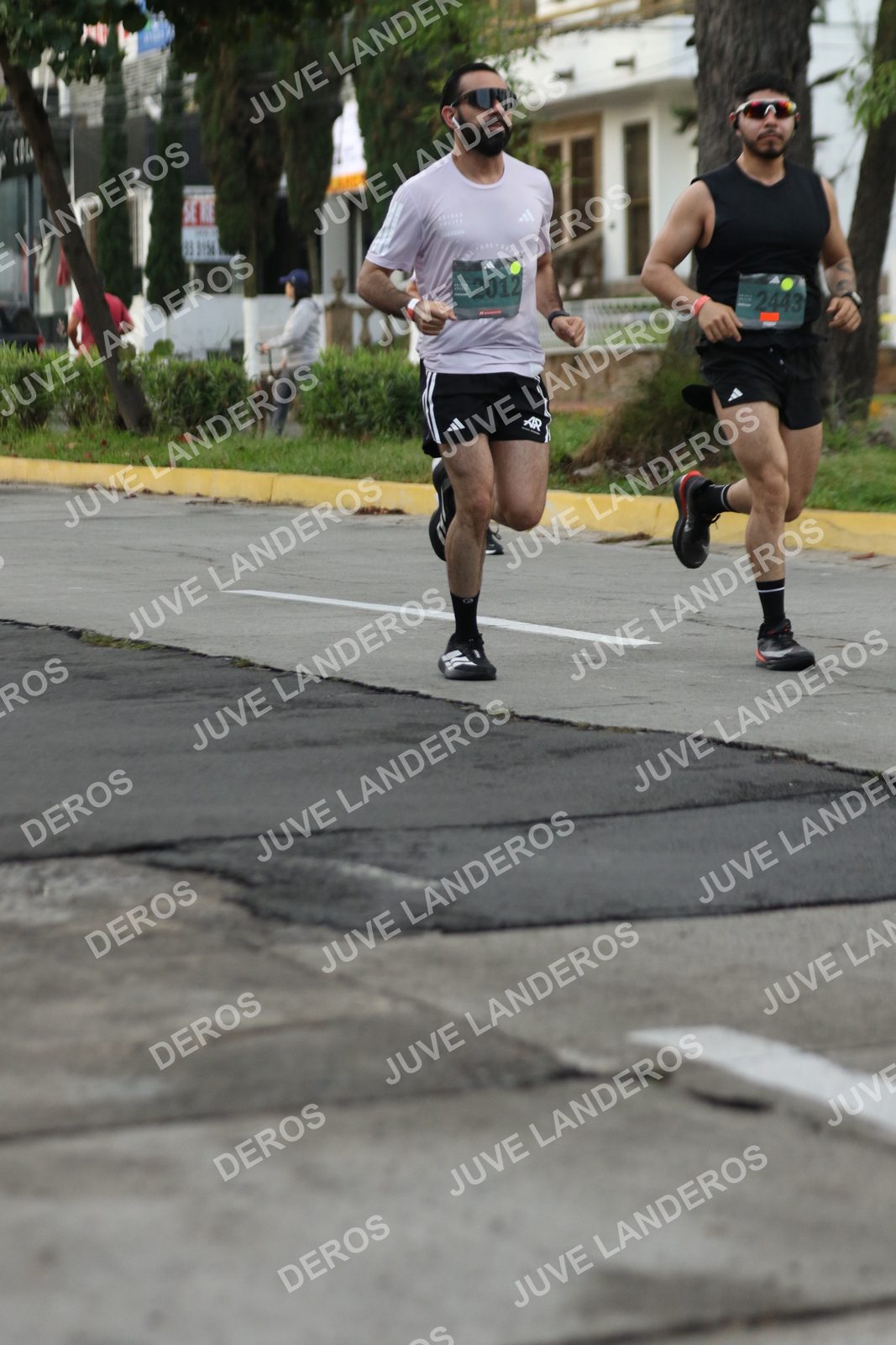 Foto de ADIDAS SPLITS GUADALAJARA 15K / 30K en Av. San Ignacio esquina Av. Ignacio L. Vallarta, Zapopan a las 07:00 · dorsal 2012, 2443