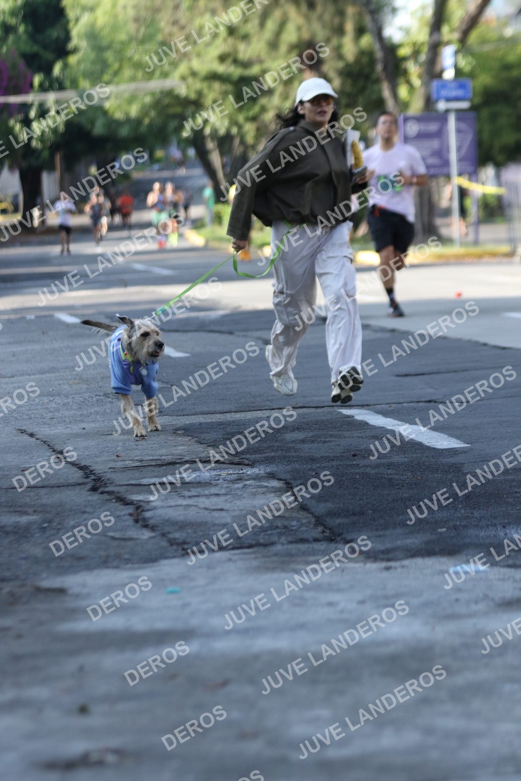 Foto de ADIDAS SPLITS GUADALAJARA 15K / 30K en Av. San Ignacio esquina Av. Ignacio L. Vallarta, Zapopan a las 08:23