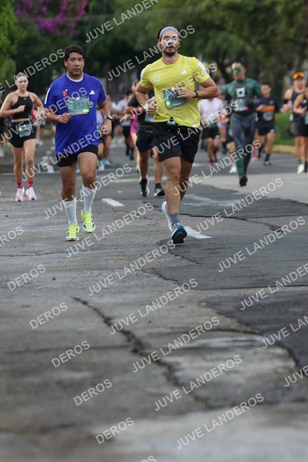Foto de ADIDAS SPLITS GUADALAJARA 15K / 30K en Av. San Ignacio esquina Av. Ignacio L. Vallarta, Zapopan a las 07:06 · dorsal 15240