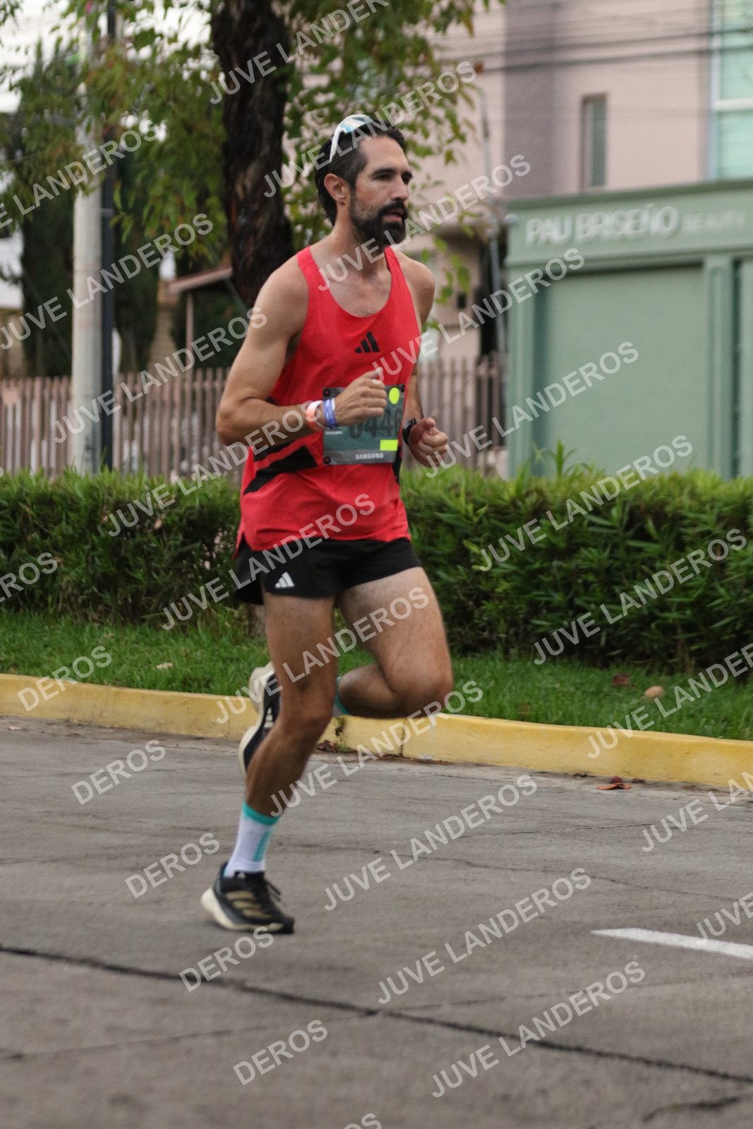 Foto de ADIDAS SPLITS GUADALAJARA 15K / 30K en Av. San Ignacio esquina Av. Ignacio L. Vallarta, Zapopan a las 06:47 · dorsal 446