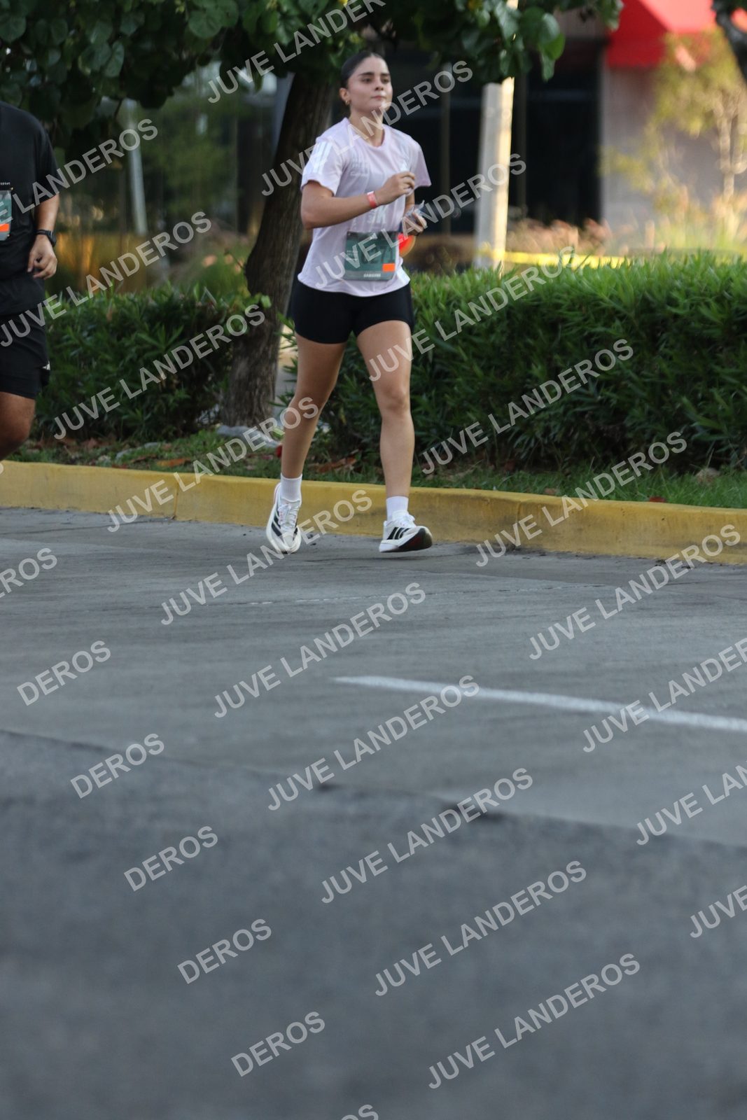 Foto de ADIDAS SPLITS GUADALAJARA 15K / 30K en Av. San Ignacio esquina Av. Ignacio L. Vallarta, Zapopan a las 07:31 · dorsal 271