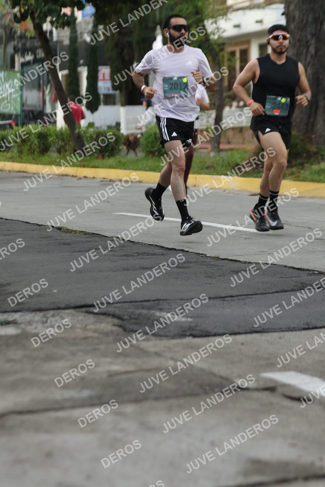 Foto de ADIDAS SPLITS GUADALAJARA 15K / 30K en Av. San Ignacio esquina Av. Ignacio L. Vallarta, Zapopan a las 07:00 · dorsal 2012, 2443