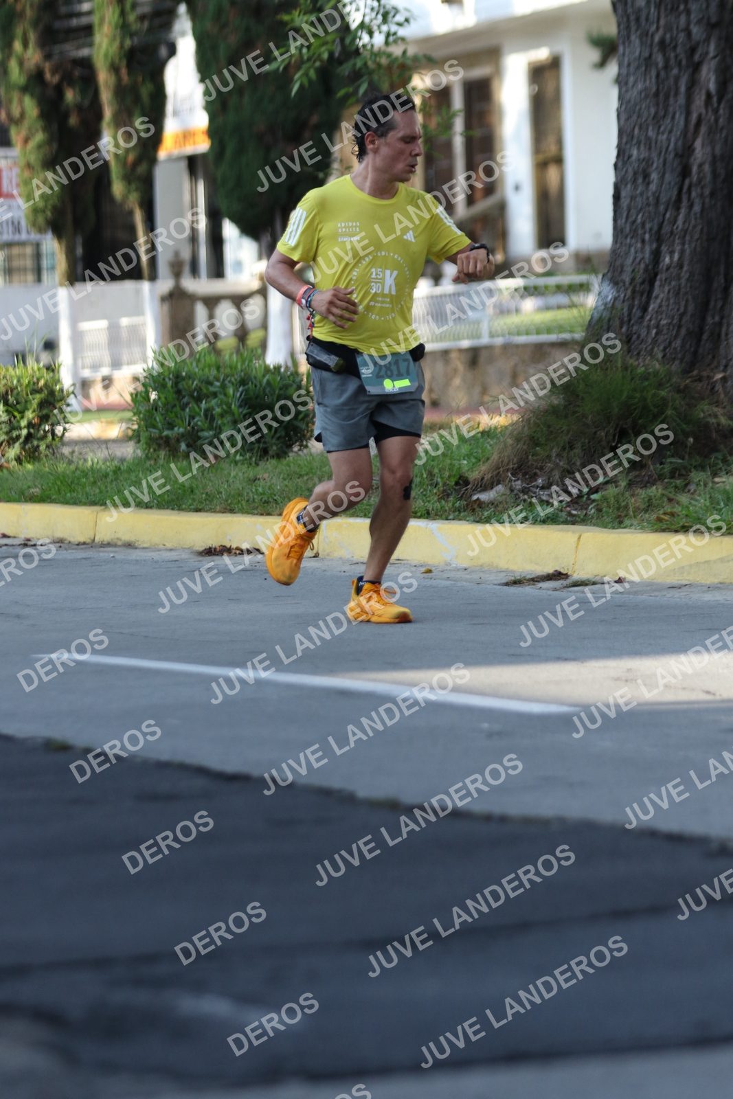 Foto de ADIDAS SPLITS GUADALAJARA 15K / 30K en Av. San Ignacio esquina Av. Ignacio L. Vallarta, Zapopan a las 08:23 · dorsal 2817, 15