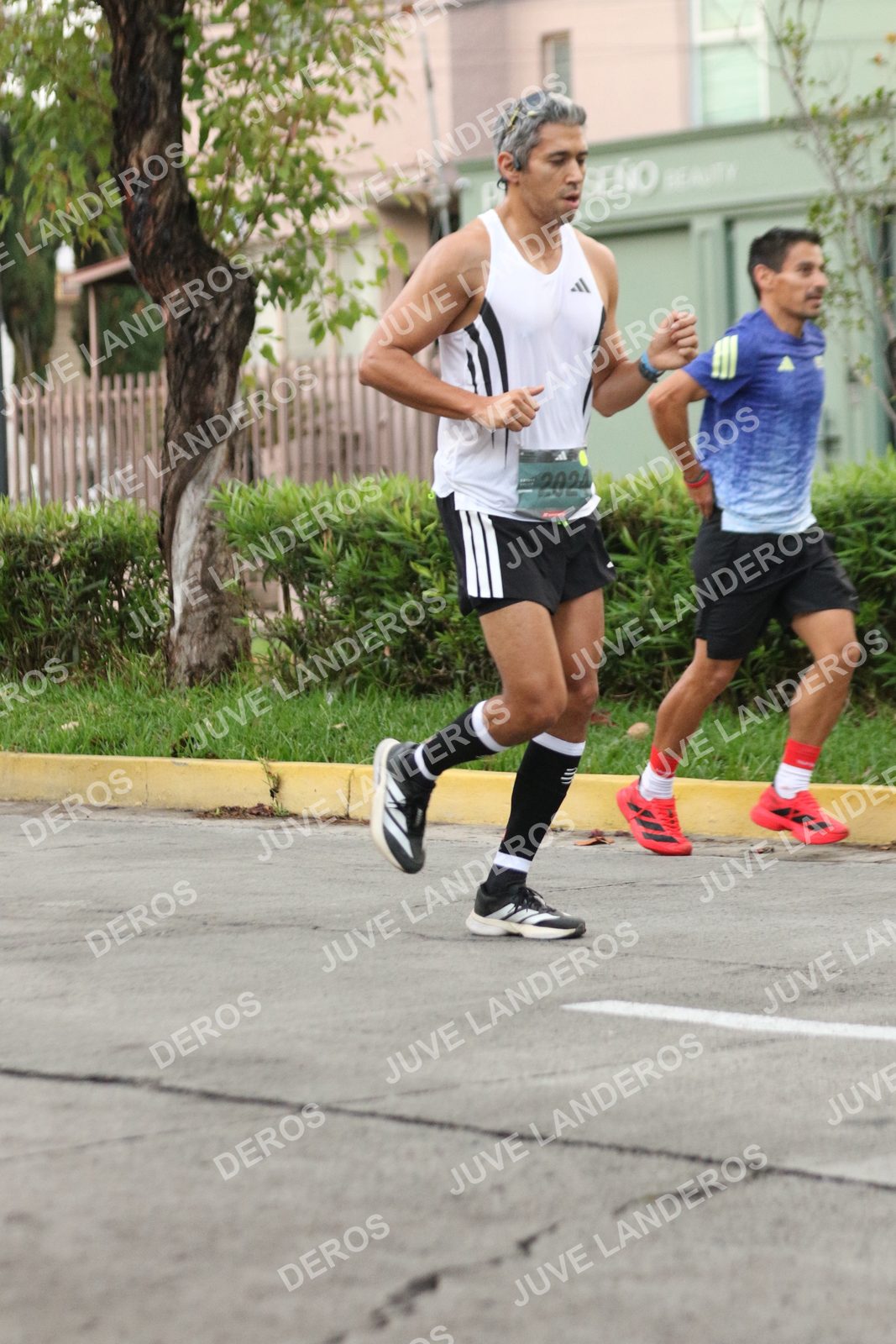 Foto de ADIDAS SPLITS GUADALAJARA 15K / 30K en Av. San Ignacio esquina Av. Ignacio L. Vallarta, Zapopan a las 06:53 · dorsal 2024