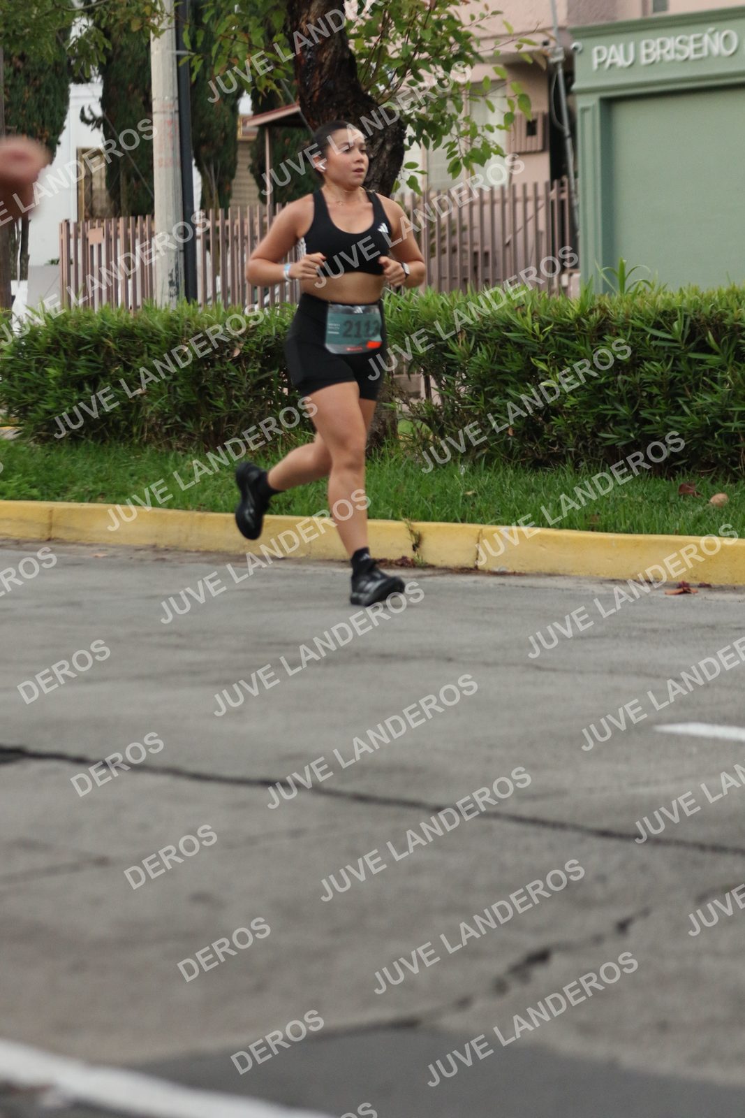 Foto de ADIDAS SPLITS GUADALAJARA 15K / 30K en Av. San Ignacio esquina Av. Ignacio L. Vallarta, Zapopan a las 06:54 · dorsal 2113