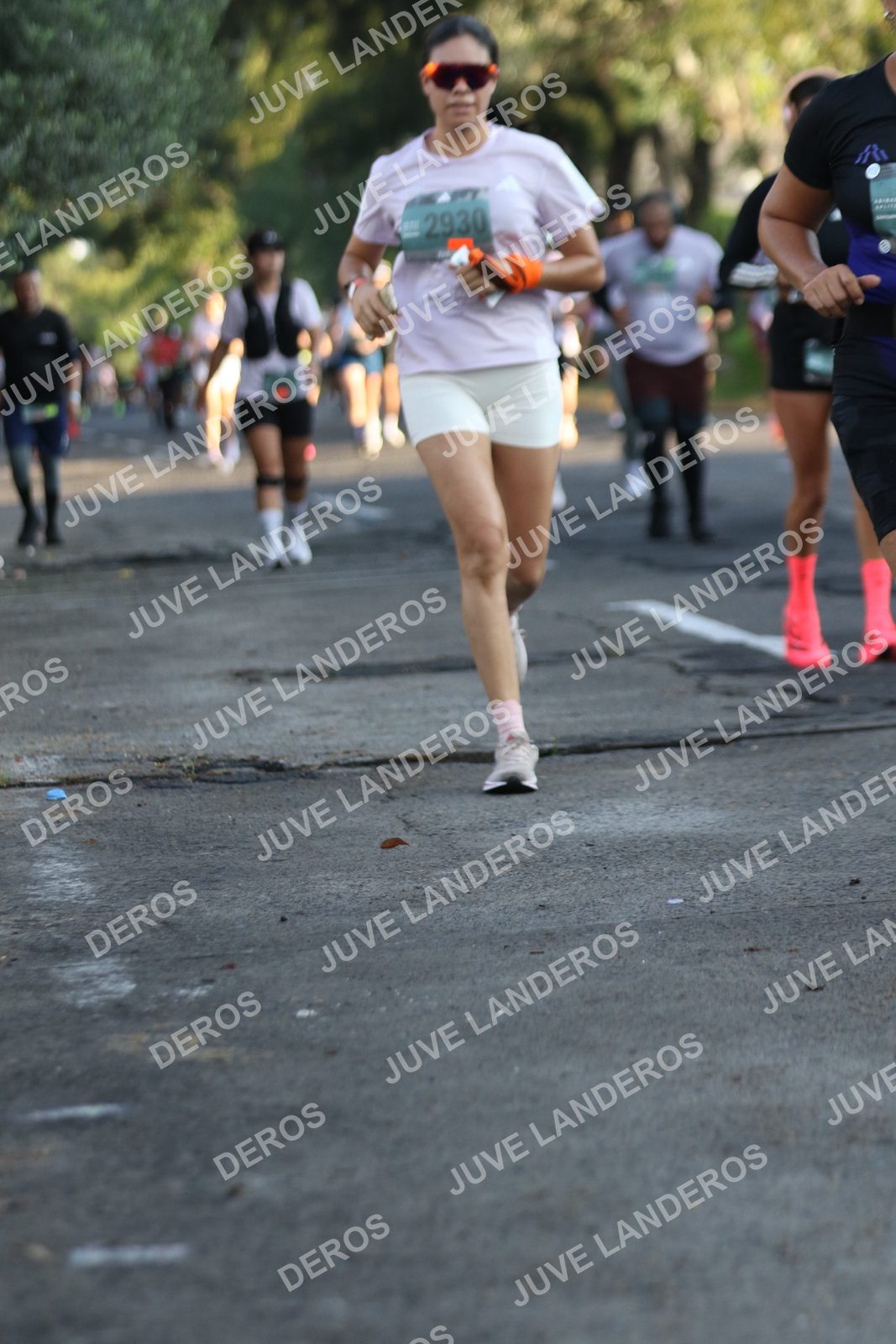 Foto de ADIDAS SPLITS GUADALAJARA 15K / 30K en Av. San Ignacio esquina Av. Ignacio L. Vallarta, Zapopan a las 07:40 · dorsal 2930