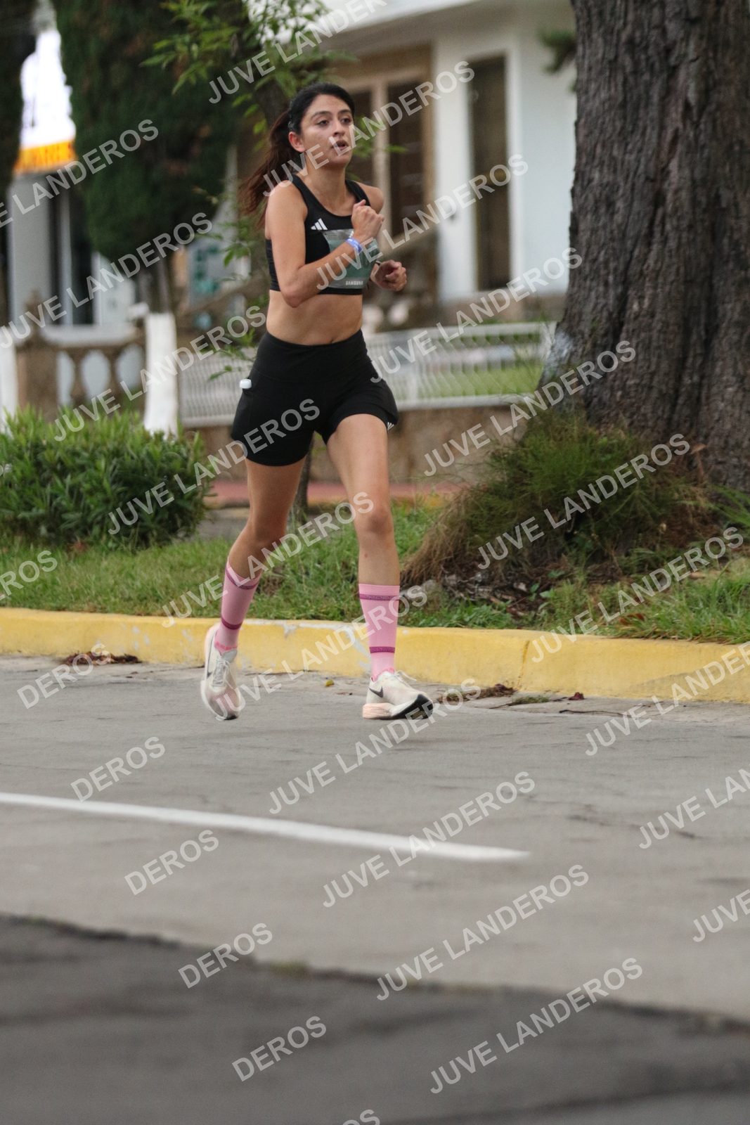 Foto de ADIDAS SPLITS GUADALAJARA 15K / 30K en Av. San Ignacio esquina Av. Ignacio L. Vallarta, Zapopan a las 06:49