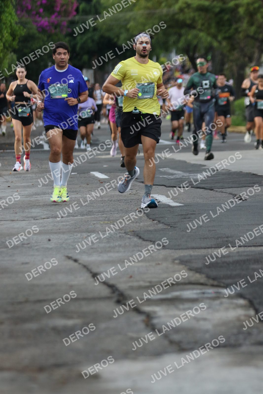 Foto de ADIDAS SPLITS GUADALAJARA 15K / 30K en Av. San Ignacio esquina Av. Ignacio L. Vallarta, Zapopan a las 07:06 · dorsal 1524, 267