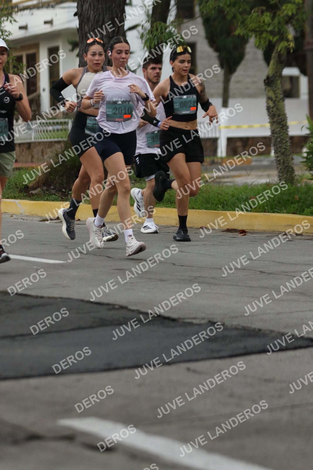 Foto de ADIDAS SPLITS GUADALAJARA 15K / 30K en Av. San Ignacio esquina Av. Ignacio L. Vallarta, Zapopan a las 06:56 · dorsal 2010, 19