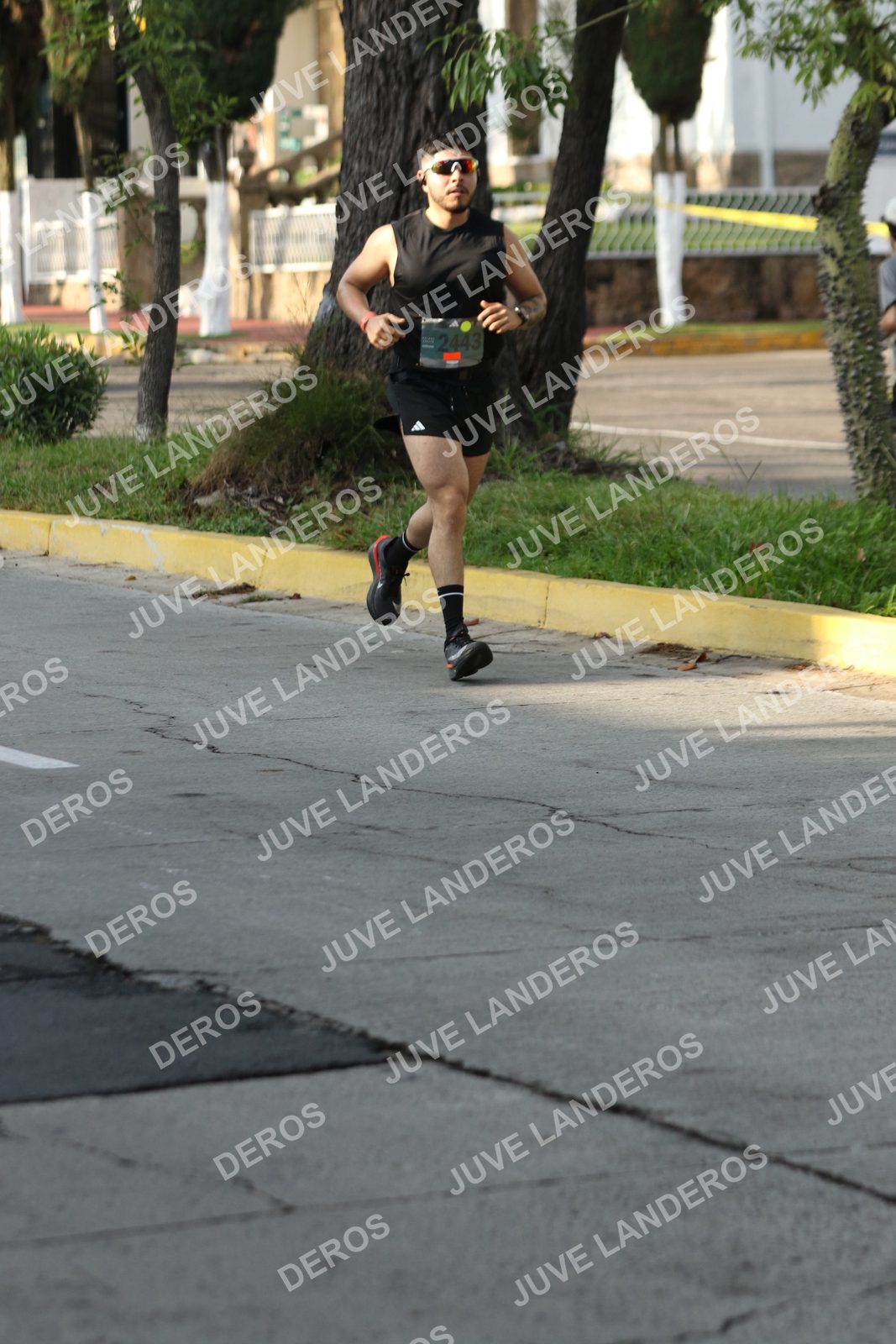 Foto de ADIDAS SPLITS GUADALAJARA 15K / 30K en Av. San Ignacio esquina Av. Ignacio L. Vallarta, Zapopan a las 08:15 · dorsal 2443