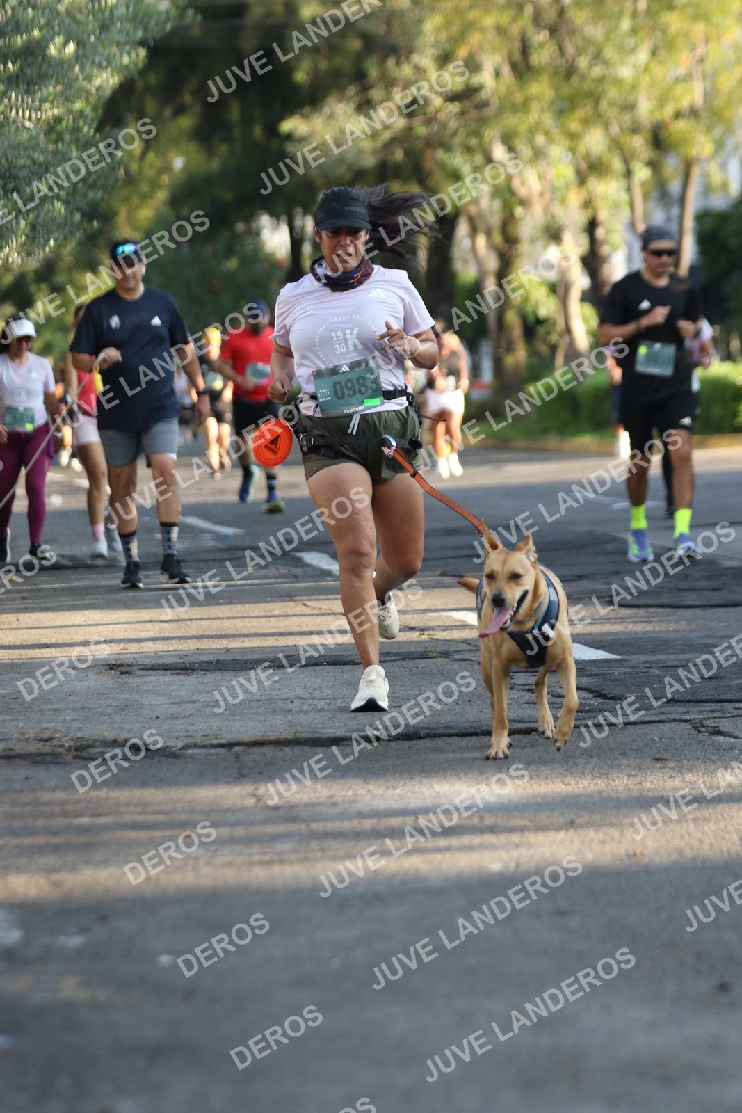 Foto de ADIDAS SPLITS GUADALAJARA 15K / 30K en Av. San Ignacio esquina Av. Ignacio L. Vallarta, Zapopan a las 07:50 · dorsal 983, 30, 15