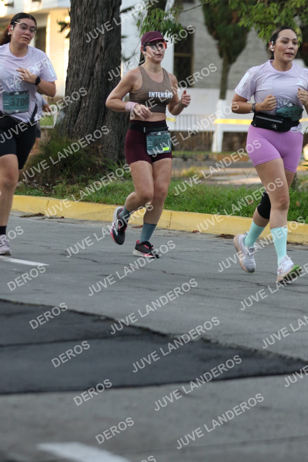 Foto de ADIDAS SPLITS GUADALAJARA 15K / 30K en Av. San Ignacio esquina Av. Ignacio L. Vallarta, Zapopan a las 07:11 · dorsal 3700, 666